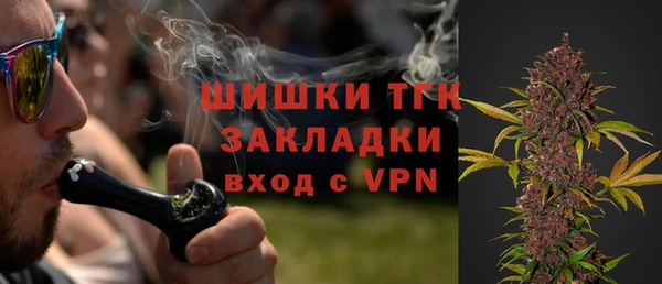 стафф Верхний Тагил