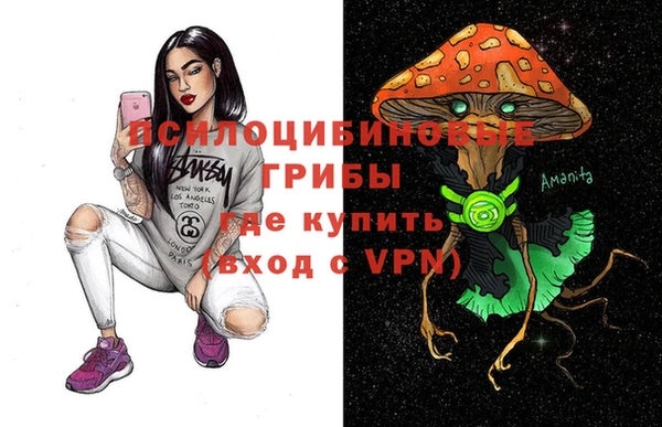 прущая мука Богородицк