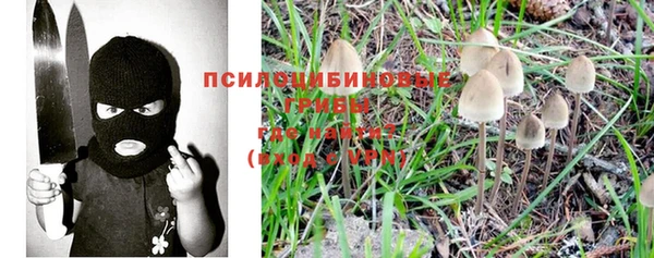 амф Белокуриха
