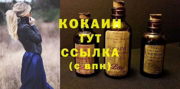 дмт Снежногорск