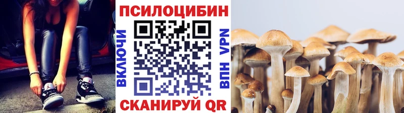 Галлюциногенные грибы мицелий  маркетплейс формула  Зеленодольск 